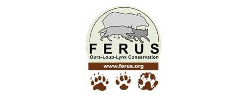 ferus