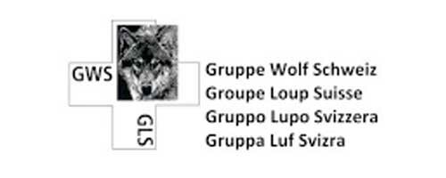 gruppe-suisse